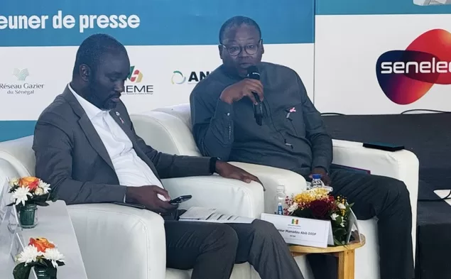 Prix de l’électricité : Pape Toby Gaye mise sur le gaz local pour faire baisser les coûts