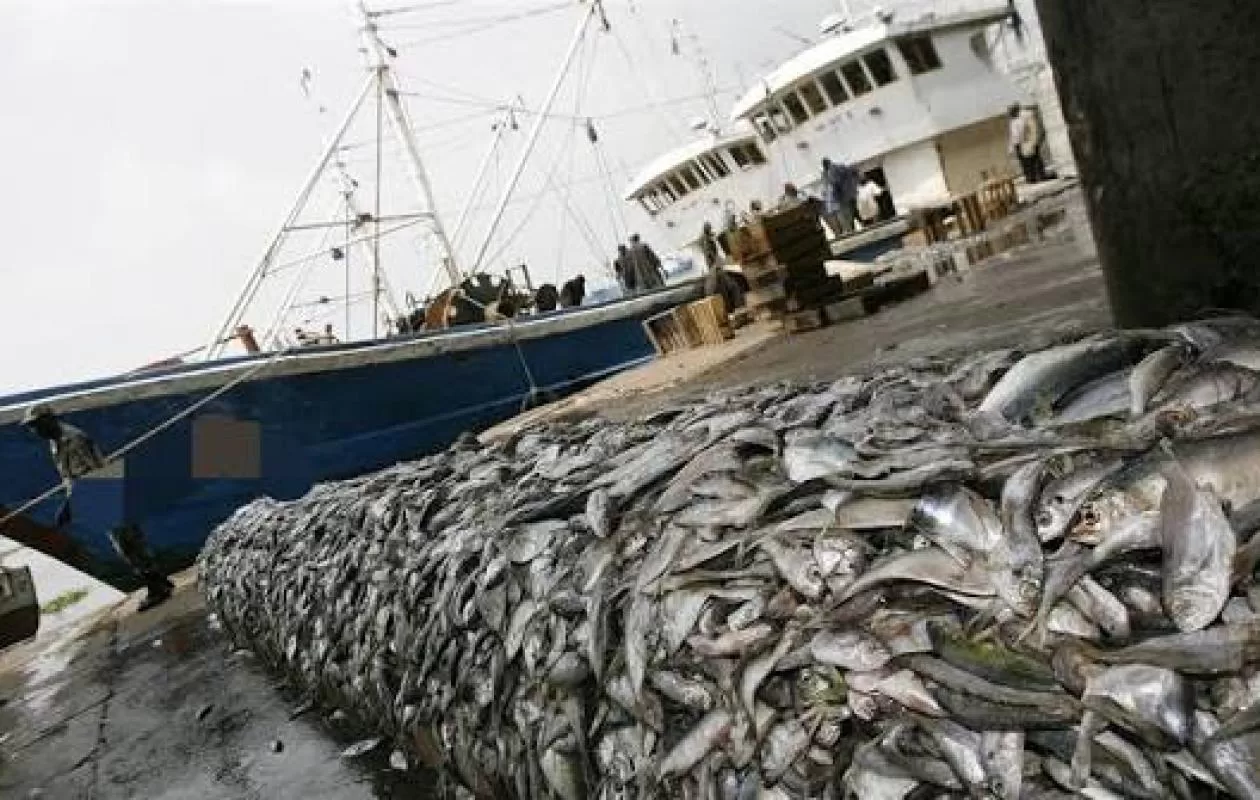 Licences de pêche : quatre responsables des Pêches maritimes auditionnés ce mercredi à l’Assemblée nationale